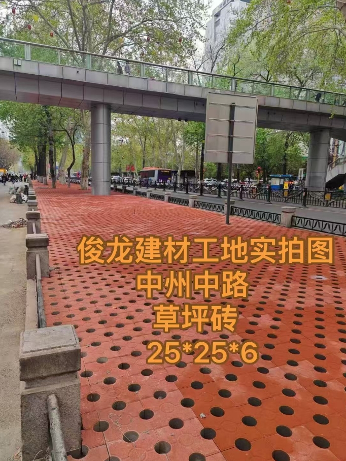 洛陽中州中路草坪磚